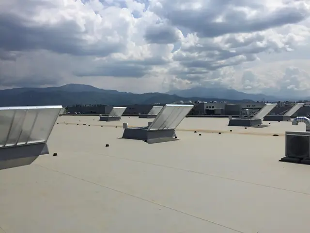 Trapa de fum Pneumatica